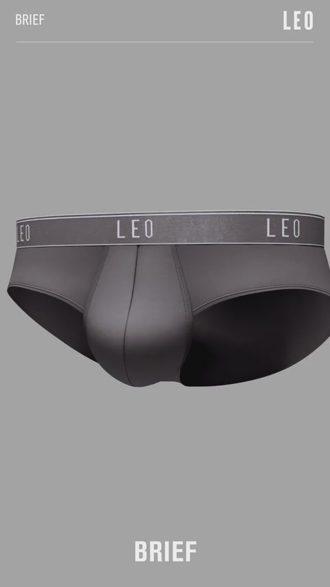 Leo By Leonisa Microfiber Briefs, All Sale